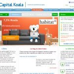 Capital Koala