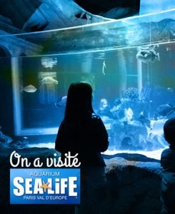 sea life