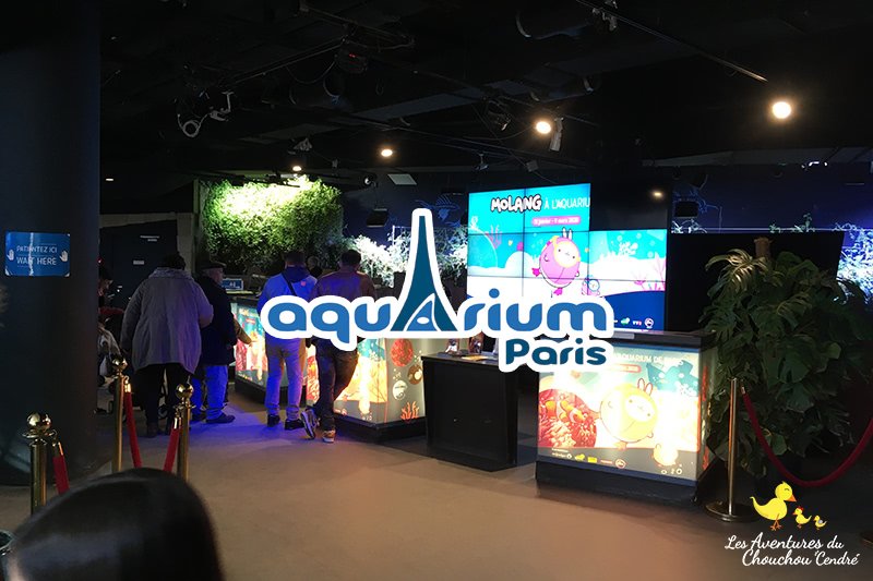 Molang à l'Aquarium de Paris