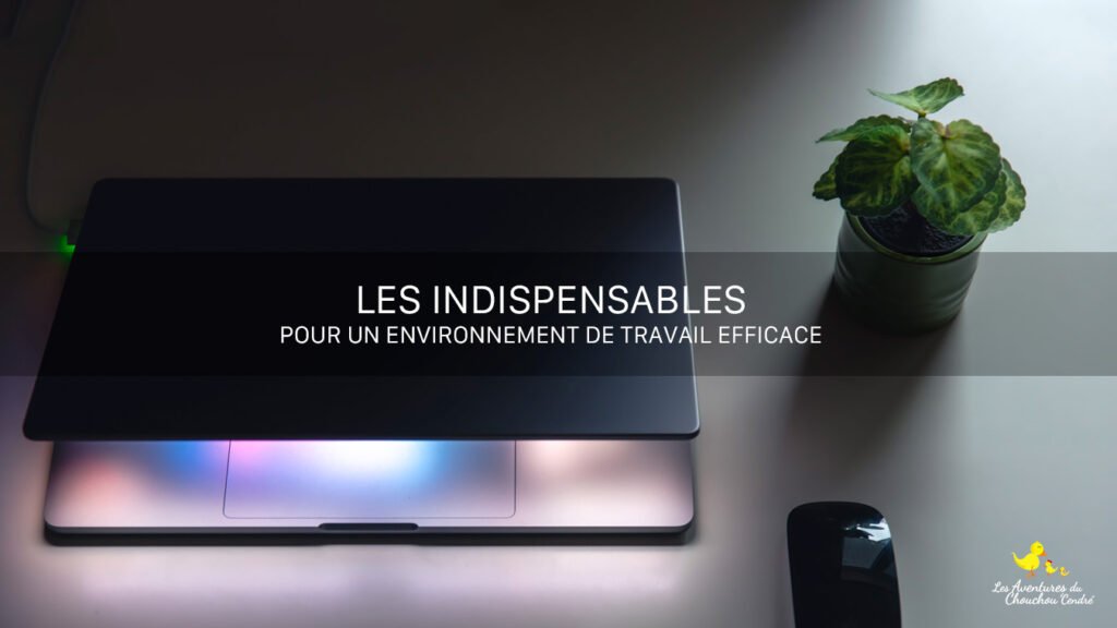 Les indispensables pour un environnement de travail efficace